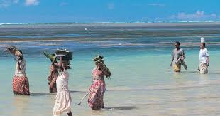 Check spelling or type a new query. Ecosoc Chief Calls For Financial Support For Small Island Developing States Saudi Gazette