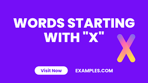 450+ Words Starting with X List, Meaning, PDF