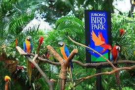 Последние твиты от jurong bird park (@jurongbirdpark1). Jurong Bird Park Singapore Hotels Bird Singapore Map