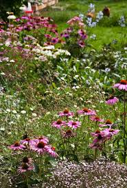 Romantik Pur Das Kriechende Schleierkraut In 2020 Romantische Garten Garten Bienenfreundlicher Garten