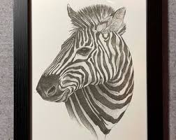 Beautiful Zebra Drawing