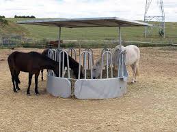 Resultado de imagen de comedero