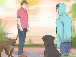 How To Stop A Dog Barking At Other Dogs With Pictures Wikihow Pet