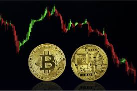 If bitcoin volatility decreases, the cost of converting into and out of. Why Bitcoin Is One Of The Most Volatile Investments You Could Make 2021 Guide Websta Me