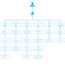 organizational chart blue bird overseas pvt ltd