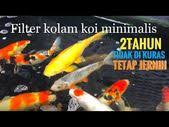 Tips Filter Kolam Koi Dan Membuat Arus Plus Supply Oksigen Kolam Dengan Eductor Ejector Atau Ventury Youtube Kolam Kolam Ikan Filter