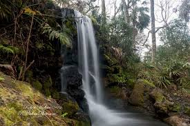 This map was created by a user. Found Waterfalls In A Secret Natural Paradise In Florida Destination Wildlife