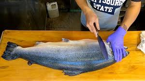 Pin On Poissons