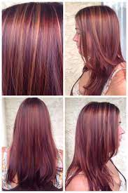 Copper And Violet Highlights On Auburn Hair Light Brown Hair With Purple Highlights Www Pi Hair Color Highlights Purple Hair Highlights Brunette Hair Color