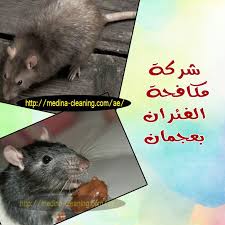Https Medina Cleaning Com Ae Insect Control Services In Ajman In 2021 Insect Control Medina Animals