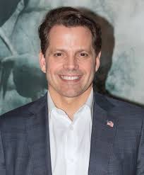 Timothy Bella & Associates, LLC