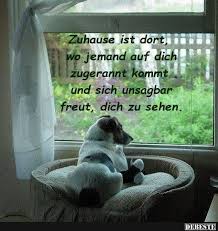 Zuhause Ist Dort Spruche Tierliebe Spruche Tiere Spruche