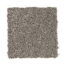 Stainmaster Baxter Iii Petprotect Roscoe Plush Carpet Sample S623714roscoe Scoe Products Plush Carpet Carpet Samples Carpet