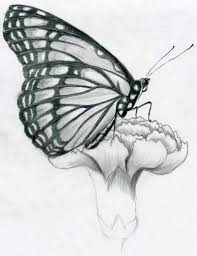 Affordable and search from millions of royalty free images, photos and vectors. Simple Black And White Drawing Of Butterfly Novocom Top