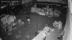 Seorang kepala gudang harus mampu membuat sebuah perencanaan (planning) tentang pengelolaan gudang, mulai dari pengadaan barang sampai dengan kepala gudang (warehouse pic). Gudang Bahan Bangunan Di Tamansari Jakarta Barat Dibobol Kerugian Capai Rp 1 Miliar Tribun Jakarta