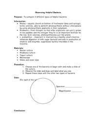 Label each structure of the plant and animal cell with its description and function in the provided tables. Bacteria Lab Report Worksheets Teaching Resources Tpt
