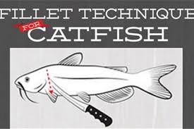 They start by removing the skin from the catfish and then filleting the meat off the fish afterward. Catfish Fillets 5 Simple How To Steps Infographic Bass Pro Shops