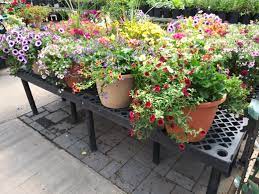 Our network of local florists and flower shops offers same day delivery for all occasions. Lowe S Garden Center