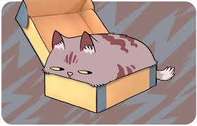 15 Shocking Truths Behind What Cat Behaviors Actually Mean Cat Behavior What Cat Cat Behavior Facts