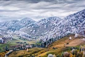 În aceste tipuri de grădini puteţi vedea arbori. 20 De Fotografii Cele Mai Frumoase Peisaje Din Romania