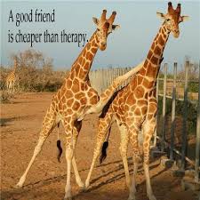 Some Quotes About Friendship Kidsumers Giraffe Friendship Quotes Some Quotes