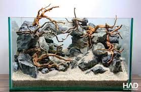 Pin By Alexandra Bordeianu On Aquascape Fish Aquarium Decorations Aquarium Landscape Aquascape Design