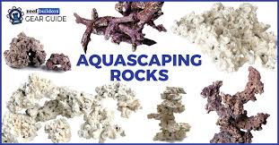 Can a dead coral come back to life? The Best Dry Rock For Aquascaping Saltwater Aquariums Reef Builders Gear Guide Reef Builders The Reef And Saltwater Aquarium Blog