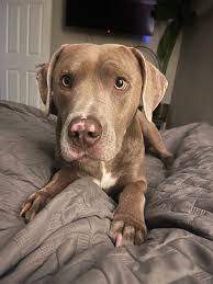 Missing person found safe in Maytown