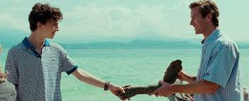 Pin On Call Me By Your Name