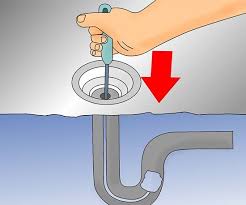 get rid of drain flies fruit fly trap