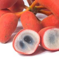 Image result for Uvaria tanzaniae