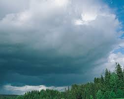 Jun 02, 2021 · chmura was born on february 22, 1969, somewhere in deerfield, massachusetts, united states. Chmura Encyklopedia Pwn Zrodlo Wiarygodnej I Rzetelnej Wiedzy