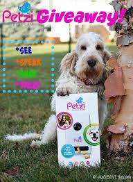 Petzi Treat Cam Fun From Afar For Dogs And Cats Giveaway Cute Dog Photos Dog Blog Diy Dog Stuff