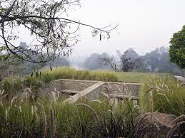 Splendide Maison Semi Enterree En Pierre Avec Toiture Vegetalisee En Inde Toiture Vegetalisee Maison Enterree Toit Vert
