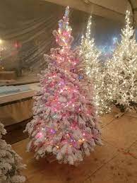 We are grateful to all our sponsors: Santa S Christmas Trees