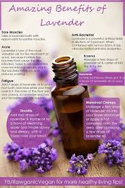 Lavender Essential Oil Living Essentials Oils Lavender Benefits Essential Oils