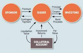 The two brothers share a special bond. Resilience Bonds A Business Model For Resilient Infrastructure