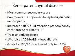 N fatty dystrophy of parenchymal organs. Kesula Clinic Renal Parenchymal Disease