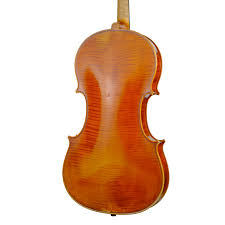 Image result for Viola eminii