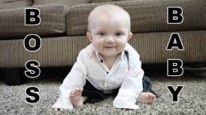 Boss Baby In Training Youtube