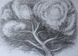 Baum Von Tanja Bykova 2016 Zeichnungen Bleistift Auf Papier Singulart