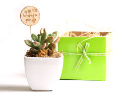 Thank you for helping me grow. Thank You Teacher Timber Plant Marker Fleurieu Gifts