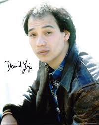 DAVID YIP as DS John Ho