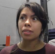 Exploiting Group Structures to Infer Social Interactions From Videos