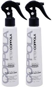 Amazon Com Peter Coppola Keratin Concept Just Blow Blow Dry Spray 6 Oz 2 Pack Heat Protectant Spray For Hair Reduces Blow Dry Time Smoothes And Straightens All Hair Types Conditions And Adds Shine Beauty