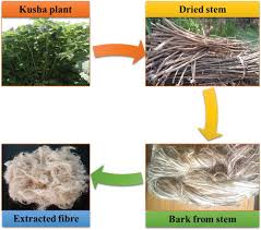 Image result for Girardinia bullosa