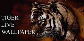 Select and download wallpaper for windows and android! Tiger Live Wallpaper Latest Version For Android Download Apk