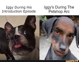 Iggy During His Iggy S During The Ifunny Jojo Bizarre Jojo S Bizarre Adventure Jojo Bizzare Adventure