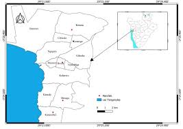 Image result for Alvesia clerodendroides