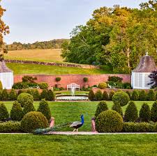 85 Best Landscaping Ideas for a Beautiful Yard in 2025